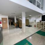 Cho thuê tòa nhà Sông Đà Tân Bình – 3 lầu, thang máy, 200m²